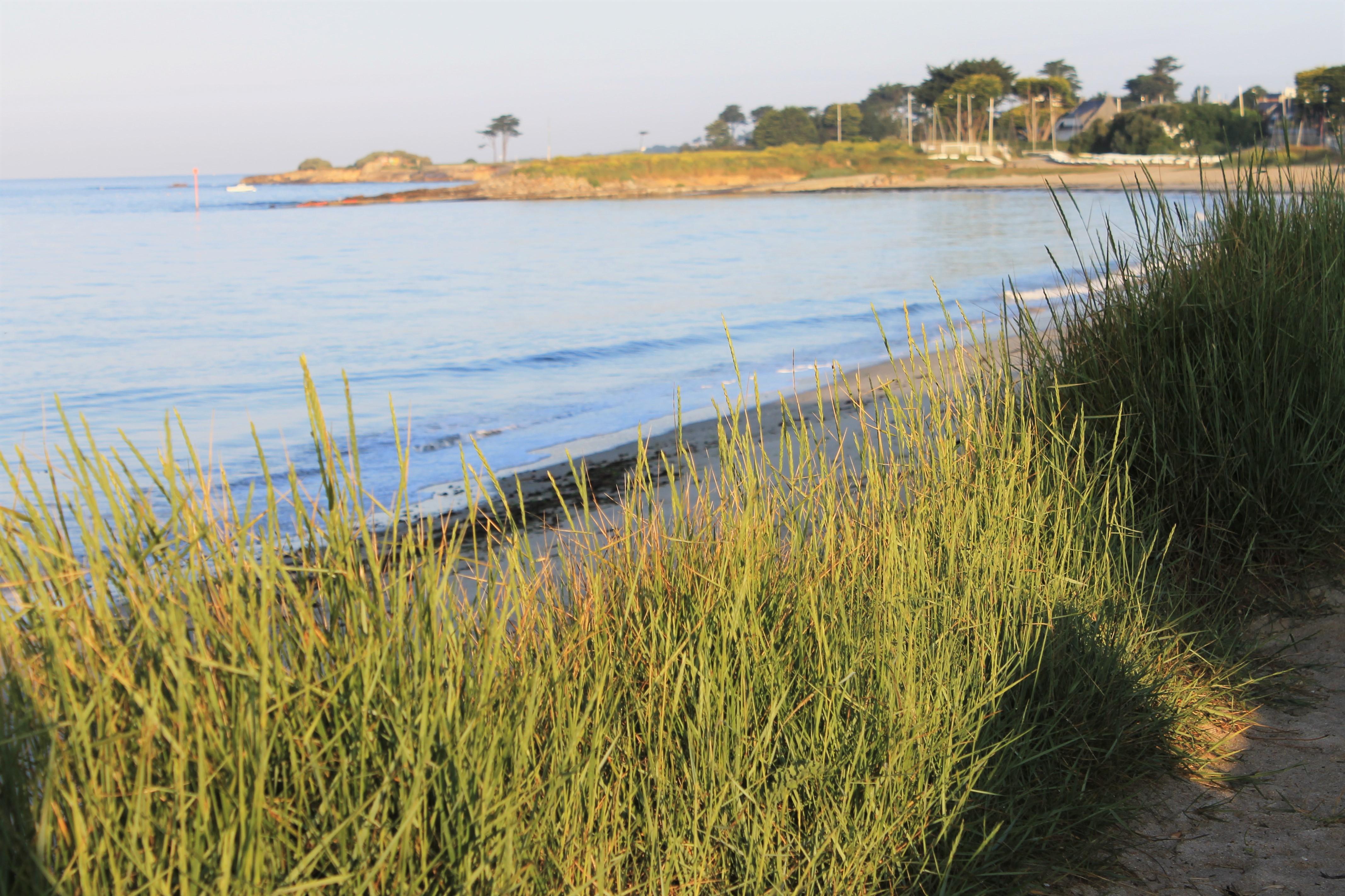 Logis Hotel & Restaurant Les Mouettes - Larmor Plage, Proche De Lorient 외부 사진