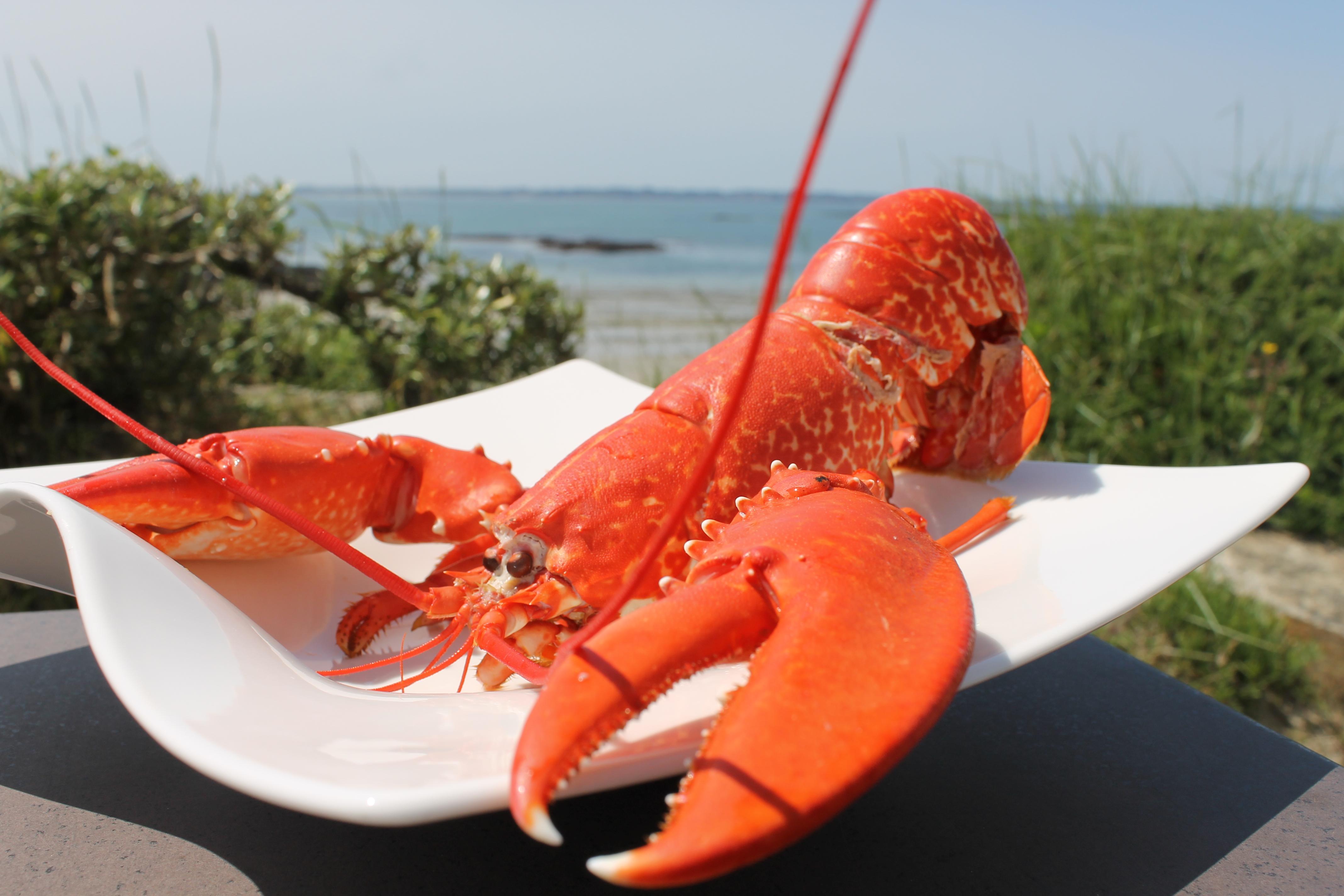 Logis Hotel & Restaurant Les Mouettes - Larmor Plage, Proche De Lorient 외부 사진