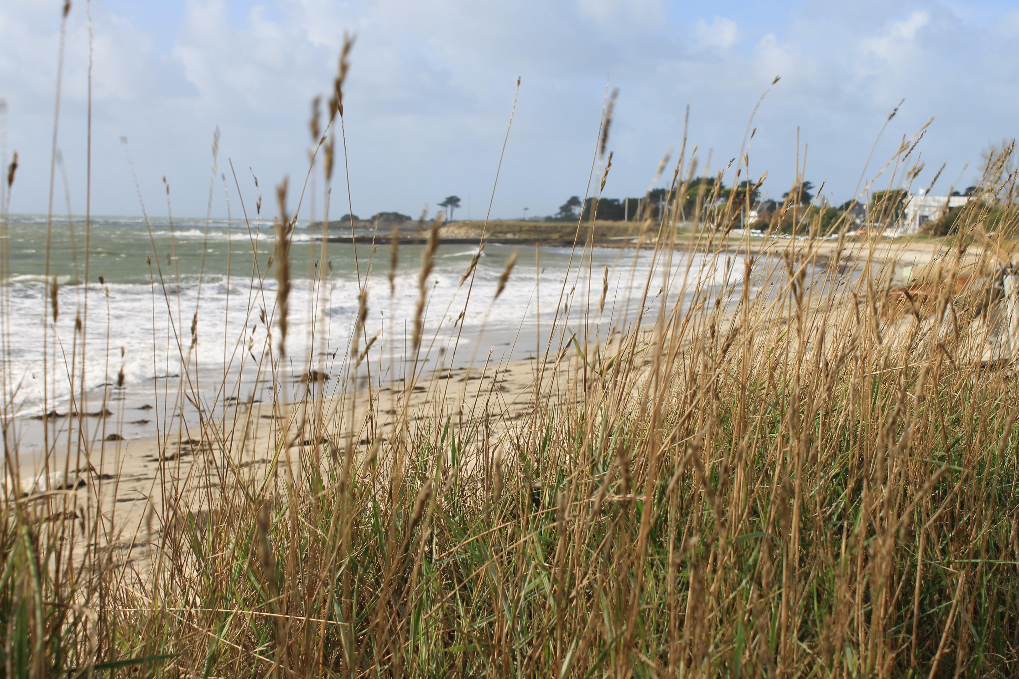 Logis Hotel & Restaurant Les Mouettes - Larmor Plage, Proche De Lorient 외부 사진